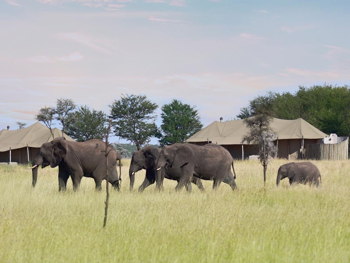 One Nature Nyaruswiga Serengeti Banagi Exterior photo