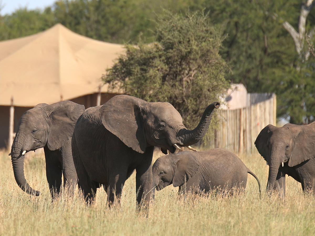 One Nature Nyaruswiga Serengeti Banagi Exterior photo
